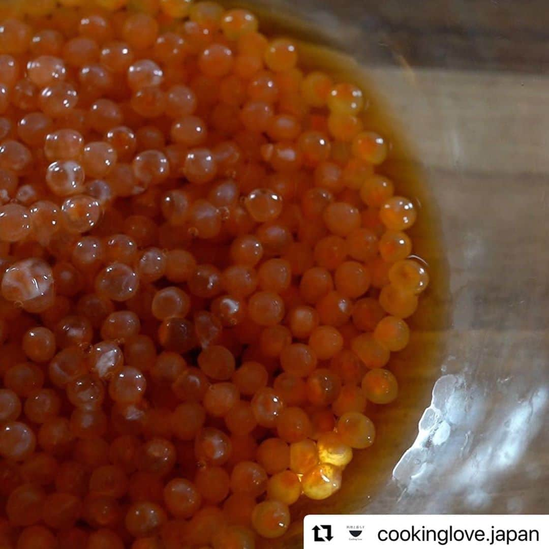 若林翔子さんのインスタグラム写真 - (若林翔子Instagram)「. . 明日♡明日♡♡♡  #Repost @cookinglove.japan with @make_repost ・・・ 秋鮭は今が旬✨記念すべき第1回は秋の味覚"はらこ飯" あす10/9(FRI)18:00 START!!  全国区の人気を誇る 宮城県亘理町の"はらこ飯" おうちで作れる簡単レシピをご紹介します。  𓆟𓆟𓆟  料理と暮らす｜Cooking Love｜PR  料理好きの元気印｜タレント/モデルの若林翔子が 料理をこよなく愛する癒し系｜料理研究家/フードスタイリストの鈴木茜とともに 気取らず作れる 本当においしい料理と料理に役立つヒントを紹介します 毎日のこんだてに ちょっと特別な日のおもてなしにも大活躍する料理動画です  才色兼備なフードコーディネーター｜高橋真希も登場予定です  個性あふれる3人の料理への愛を感じてください✨  This channel introduces simple, delicious and beautiful dishes. Let's cooking. May your daily life be enriched.  ☆チャンネル登録もお願いします☆  料理と暮らす｜Cooking Love｜SNS  [YouTube] https://www.youtube.com/channel/UCQYSa775920IOdOgJLB9mUg  [Insta] https://www.instagram.com/cookinglove.japan/  [Twitter] https://twitter.com/CookingLove5  [Facebook] https://www.facebook.com/cookinglovejapan  ☆問い合わせや仕事依頼はこちらまで☆ [e-mail] cookinglove.jpn@gmail.com  [料理コーディネート] 高橋 真希(cookinglabo)  [料理監修] 鈴木 茜(cookinglabo)  [撮影協力] 喫茶と食事みどり cookinglabo  [映像制作] MOVIE DISTRICT MIYAGI Produced by WORLD FAMOUS SUPREME TEAM Co.,Ltd  #はらこ飯 #はらこめし #宮城 #ごはん #郷土料理 #亘理 #レシピ #料理動画#簡単レシピ #レシピ動画 #yummy #yum #foodporn #instafood #foodstagram #飯テロ #おうちごはん #クッキングラム #delistagrammer #homecooking #japanesefood #おうちカフェ #cooking #japan #foodie #いくら」10月8日 20時54分 - shokowakabayashi1685