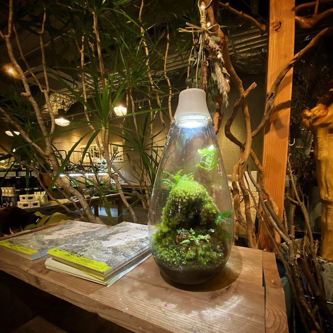 Mosslight-LEDさんのインスタグラム写真 - (Mosslight-LEDInstagram)「体験型植物イベントNABOLO vol4に参加します。 展示販売、ワークショップ 期間:10月9日(金)〜18日(日) 場所:garage名古屋店内  @botanical_lounge   #nabolo」10月8日 21時03分 - mosslight1955