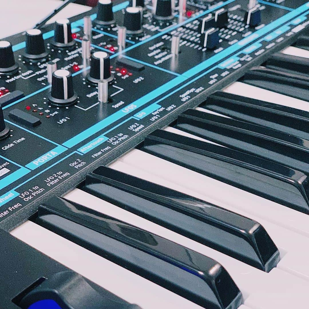 SHIZUKAのインスタグラム：「I’m into it  #novation #bassstation2」