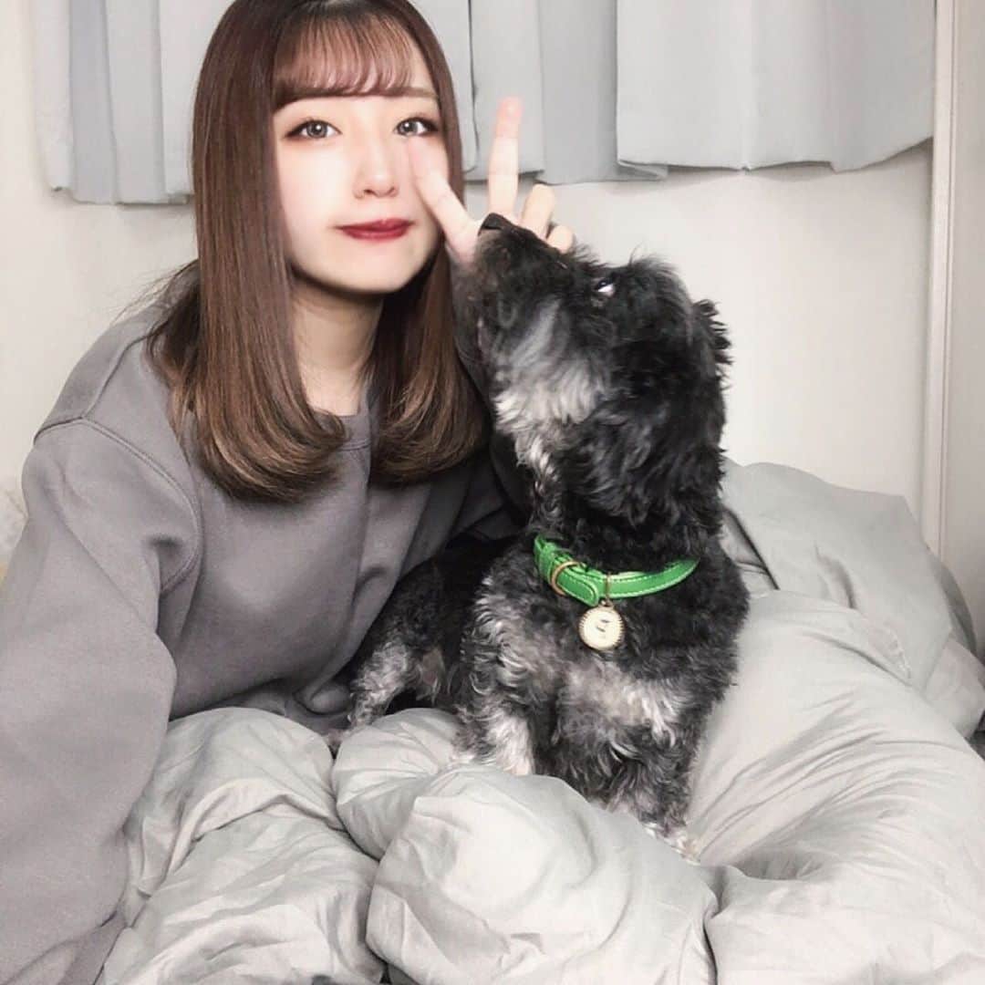 のインスタグラム：「. らぶさんカメラみてー！w てか寒くない？！ みんな風邪ひかないようにね☁️ . . . #スウェットコーデ #ワイヤーダックス #dog #犬 #わんこ #愛犬 #スウェット #GU」