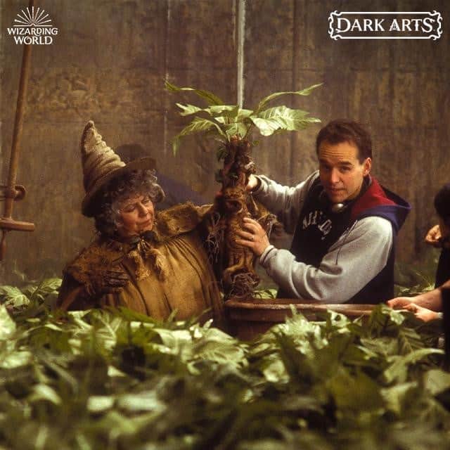 ハリー・ポッターさんのインスタグラム写真 - (ハリー・ポッターInstagram)「Director Chris Columbus demonstrates proper Mandrake care between takes of Harry Potter and the Chamber of Secrets. #TBT #DarkArtsMonth」10月8日 21時59分 - harrypotter