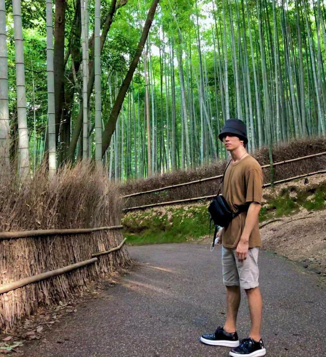 のインスタグラム：「1 more week of quarantine...  #Throwback . . . . . #bambooforest #bamboo #kyoto #japan #バンブー #竹 #竹林 #京都」