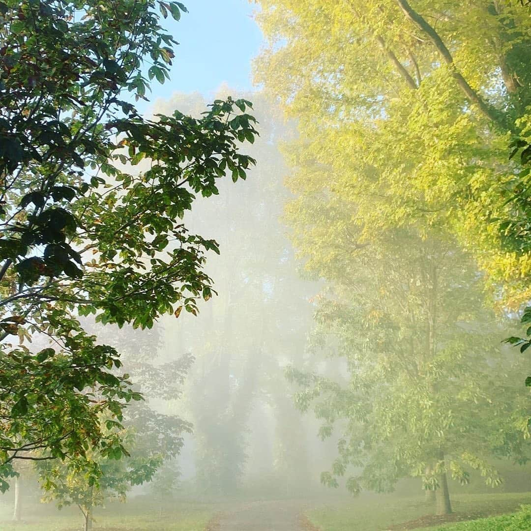 マーサ・スチュワートさんのインスタグラム写真 - (マーサ・スチュワートInstagram)「We love sharing snapshots taken on @marthastewart48's various Bedford grounds. Who wouldn't love to wake up to these morning sights? "When a long term friend comes to visit and takes amazing photos of your property you are obligated to post them! Thanks Kevin Sharkey @seenbysharkey. The foggy pictures are beautiful as are the crispy clear ones." - Martha. #regram via @marthastewart48」10月8日 22時20分 - marthastewart