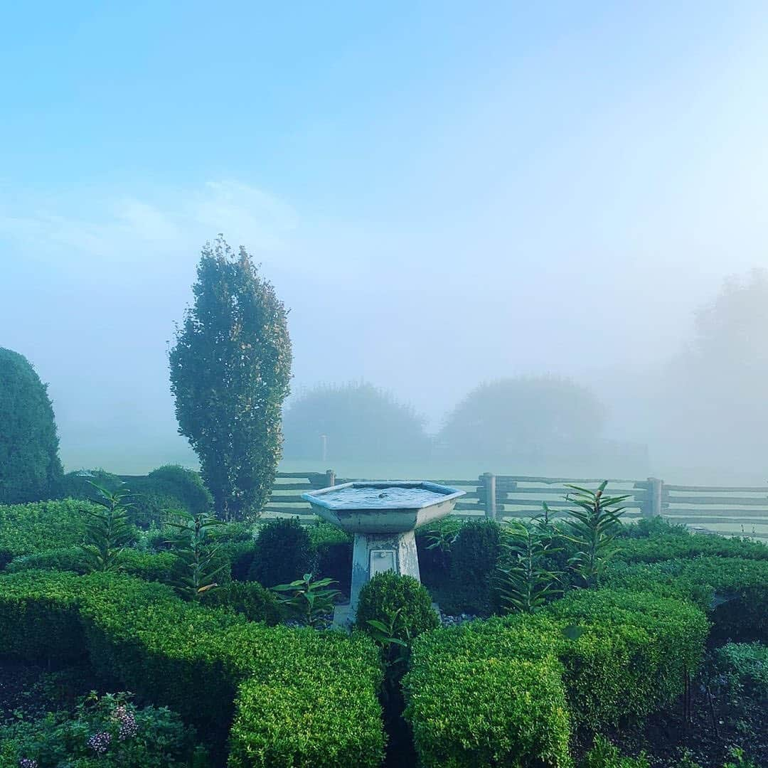 マーサ・スチュワートさんのインスタグラム写真 - (マーサ・スチュワートInstagram)「We love sharing snapshots taken on @marthastewart48's various Bedford grounds. Who wouldn't love to wake up to these morning sights? "When a long term friend comes to visit and takes amazing photos of your property you are obligated to post them! Thanks Kevin Sharkey @seenbysharkey. The foggy pictures are beautiful as are the crispy clear ones." - Martha. #regram via @marthastewart48」10月8日 22時20分 - marthastewart