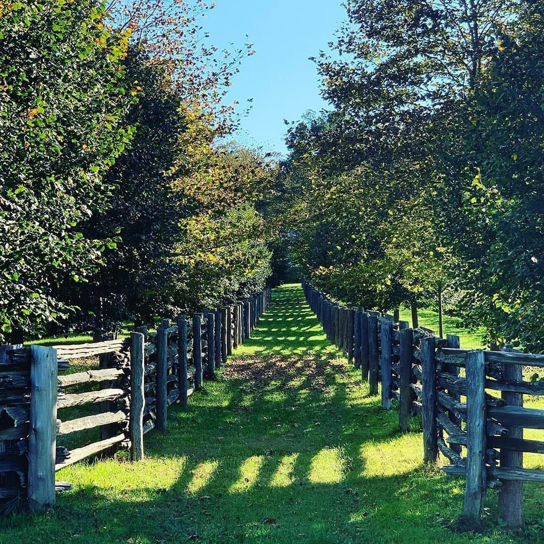 マーサ・スチュワートさんのインスタグラム写真 - (マーサ・スチュワートInstagram)「We love sharing snapshots taken on @marthastewart48's various Bedford grounds. Who wouldn't love to wake up to these morning sights? "When a long term friend comes to visit and takes amazing photos of your property you are obligated to post them! Thanks Kevin Sharkey @seenbysharkey. The foggy pictures are beautiful as are the crispy clear ones." - Martha. #regram via @marthastewart48」10月8日 22時20分 - marthastewart