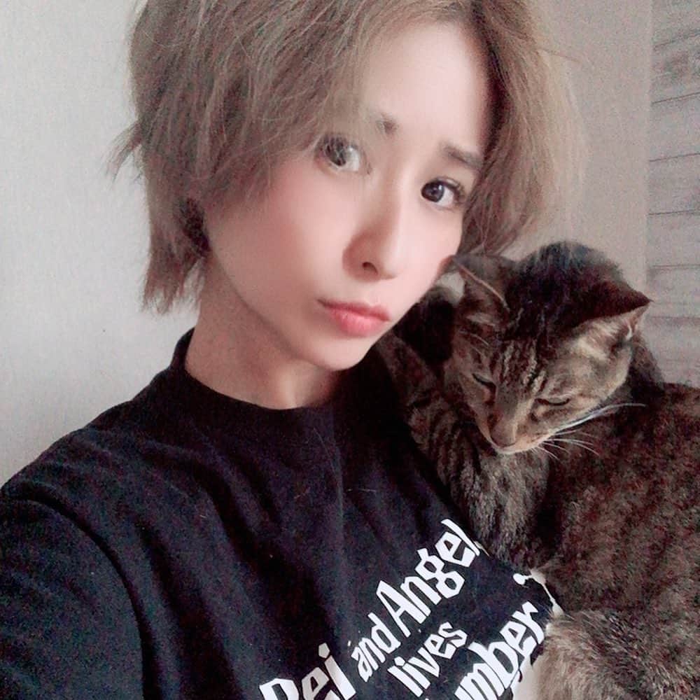 有馬綾香のインスタグラム：「虎さん大好き写真。  私の顔腹立つなw  あー会いたい。 実家帰りたい。 おチュール買って帰りたい。」