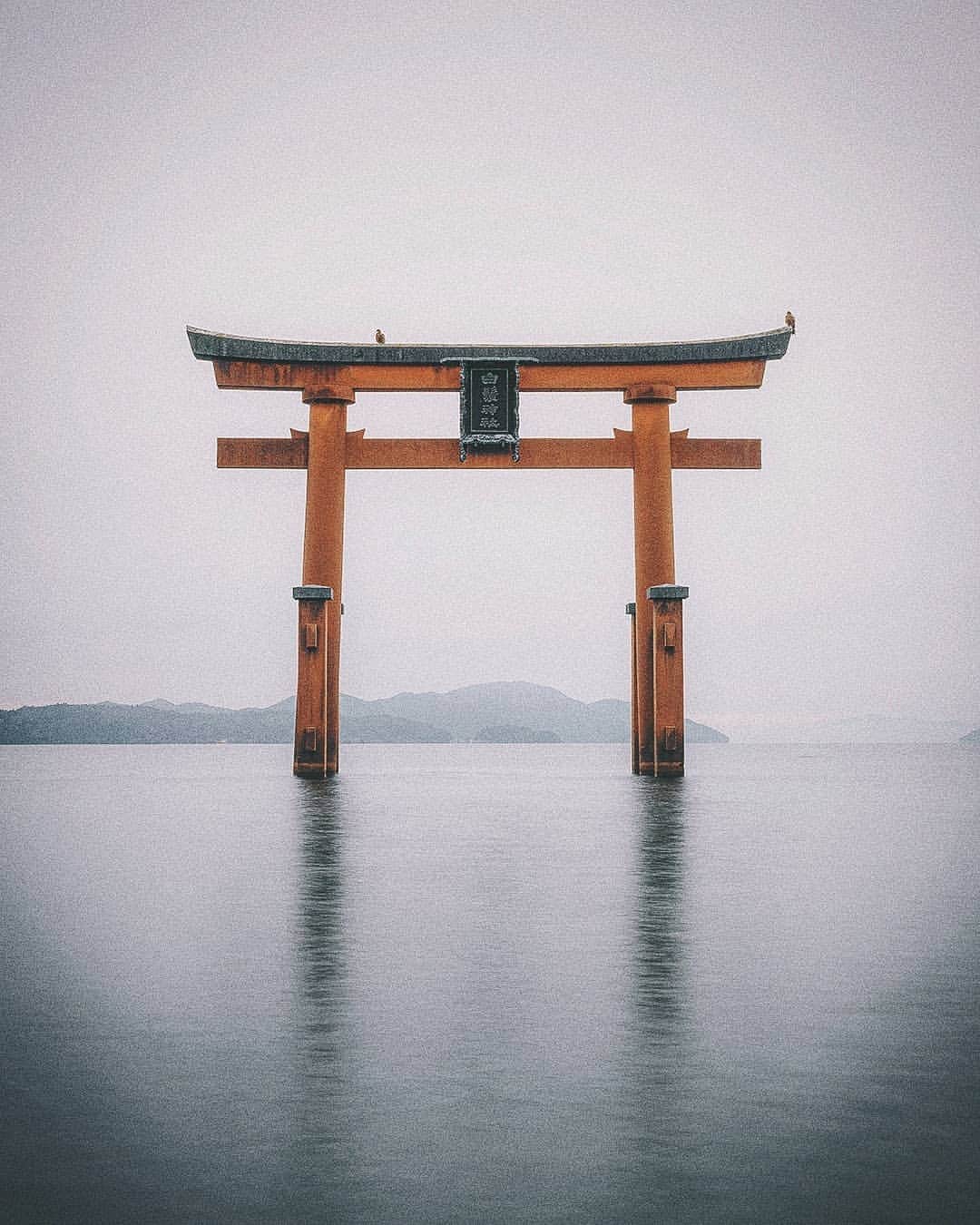 Berlin Tokyoのインスタグラム：「Mysterious scenery on the sea takes you to the surreal world of the Japanese heritage. . . . #hellofrom Shiga, #japan」