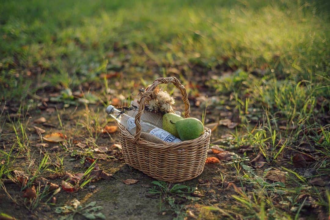 Nanaのインスタグラム：「autumn picnic basket」