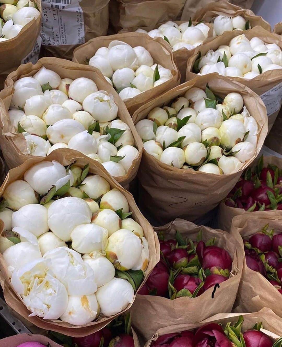 ダフネ・ジョイのインスタグラム：「Best flower shops in NYC? PS these make me so happy 🥰」