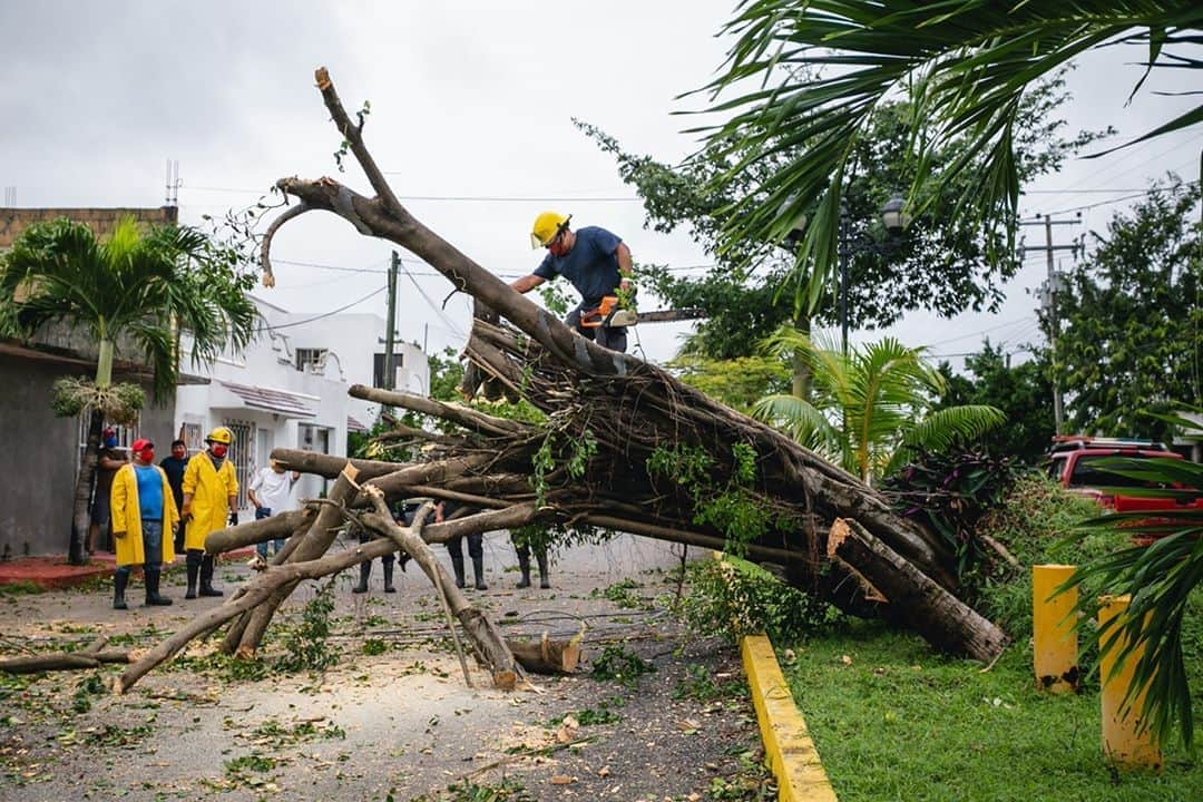 NBC Newsさんのインスタグラム写真 - (NBC NewsInstagram)「Workers try to move a fallen tree away from the street after Hurricane #Delta swept through the east coast of Mexico, prompting evacuations in major tourist areas.⁠ ⁠ Latest on the storm at the link in our bio.⁠ ⁠ 📸 Natalia Pescador / @gettyimages」10月8日 23時12分 - nbcnews