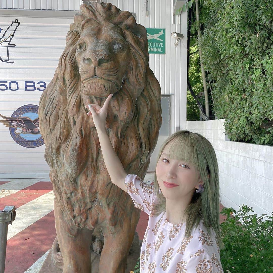 杉山優華のインスタグラム：「🦁🦁🦁🦁 . . . . #follow #followme #likeforlike #follow4follow #f4f #likeforfollow #like4follow #likeforlikes #followers #like4likes #follower #following  #followalways #follow4like #follow4followback #フォロー #フォローミー #フォロワー #フォロミー #フォロワー募集 #いいね #instagood #instagram #instafashion #instagramjapan #instalike #ファッション #love #photooftheday  #fashion」