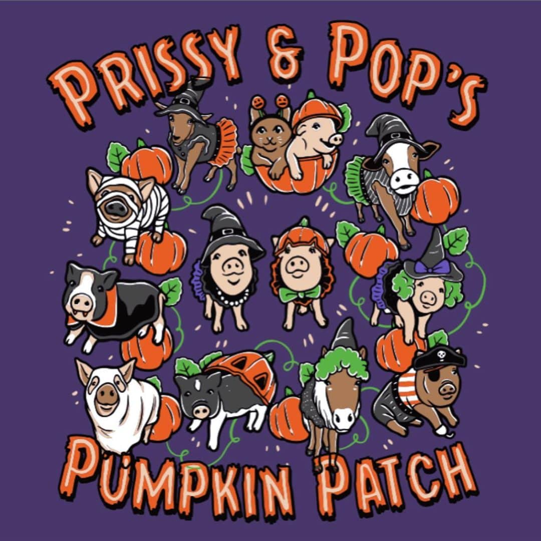 Priscilla and Poppletonさんのインスタグラム写真 - (Priscilla and PoppletonInstagram)「🎃SQUEAL!!! HALLOWEEN APPAREL IS HERE! Check out Prissy and Pop’s Pumpkin Patch tees and sweatshirts with some of our adorable farm friends available for SIX DAYS ONLY! This is a short campaign, so that we can be sure your order arrives before Halloween. There are way more options this time than ever before (9 choices in 5 colors each), so be sure to check it out at bonfire.com/prissy-and-pops-helping-hooves (link in bio). All funds raised will go to our winter hay fund for our 501c3 non-profit rescue. Please leave a comment below so that we can get Instagram to show this post to all of followers, so no one misses out. Comment below who you recognize. Who sees SPROUT?🌱🎃🐷😇#inmemoryofsprout #halloween #prissyandpopshelpinghooves #resscuefarm #PrissyandPop」10月8日 23時47分 - prissy_pig