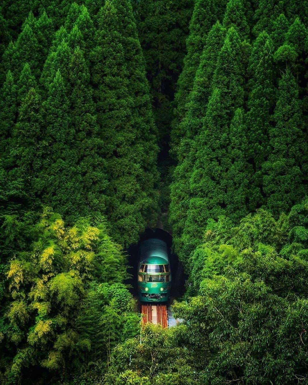 Discover Earthさんのインスタグラム写真 - (Discover EarthInstagram)「🐛 "Deep Green🌲🌲🚃🌲🌲🌲" 🇯🇵#discoverJapan with @fuji_sun___   #japan #caterpillar #green」10月9日 0時45分 - discoverearth