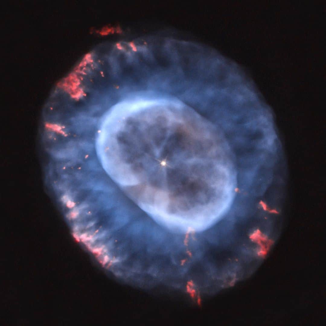 NASAさんのインスタグラム写真 - (NASAInstagram)「A Blue Snowball From Across the Universe!⁣ ⁣ Caldwell 22, also cataloged as NGC 7662 and nicknamed Blue Snowball Nebula, is located about 2,500 light-years from Earth. ⁣ ⁣ It represents a stage in evolution that stars like our Sun undergo when they run out of fuel. ⁣ ⁣ Stars are nuclear furnaces that spend most of their lives fusing hydrogen into helium. Massive stars have fiery fates, exploding as supernovae, but medium-mass stars like the Sun swell to become red giants as they exhaust their fuel.⁣ ⁣ Credit: NASA, ESA, and A. Hajian (University of Waterloo)⁣ ⁣ #NASA #Space #Hubble #BlueSnowballNebula #Universe #Nebula #Sun #Stars⁣」10月9日 0時54分 - nasa