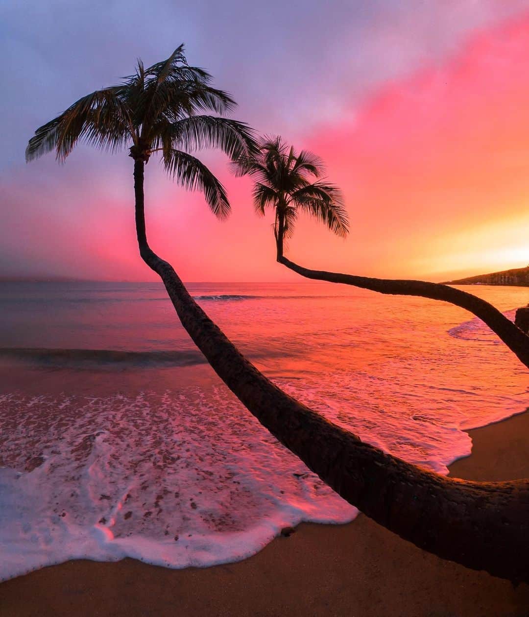 goproさんのインスタグラム写真 - (goproInstagram)「Photo of the day: #Twinning 🌴🌴 @dahawaiian_scooterguy ⠀⠀⠀⠀⠀⠀⠀⠀⠀ #GoPro #Hawaii #Sunset #IslandLife #PalmTrees」10月9日 1時01分 - gopro