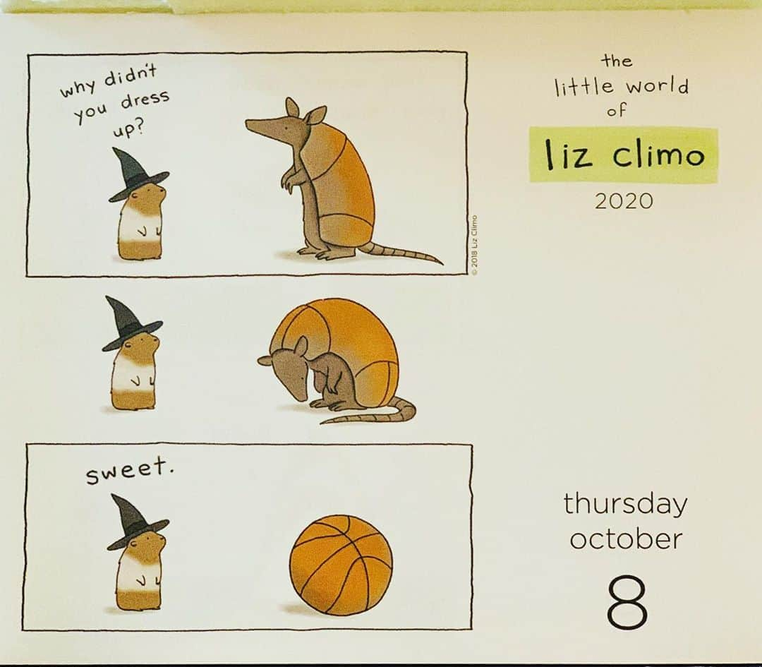 リズ・クライモさんのインスタグラム写真 - (リズ・クライモInstagram)「🏀」10月9日 2時11分 - lizclimo