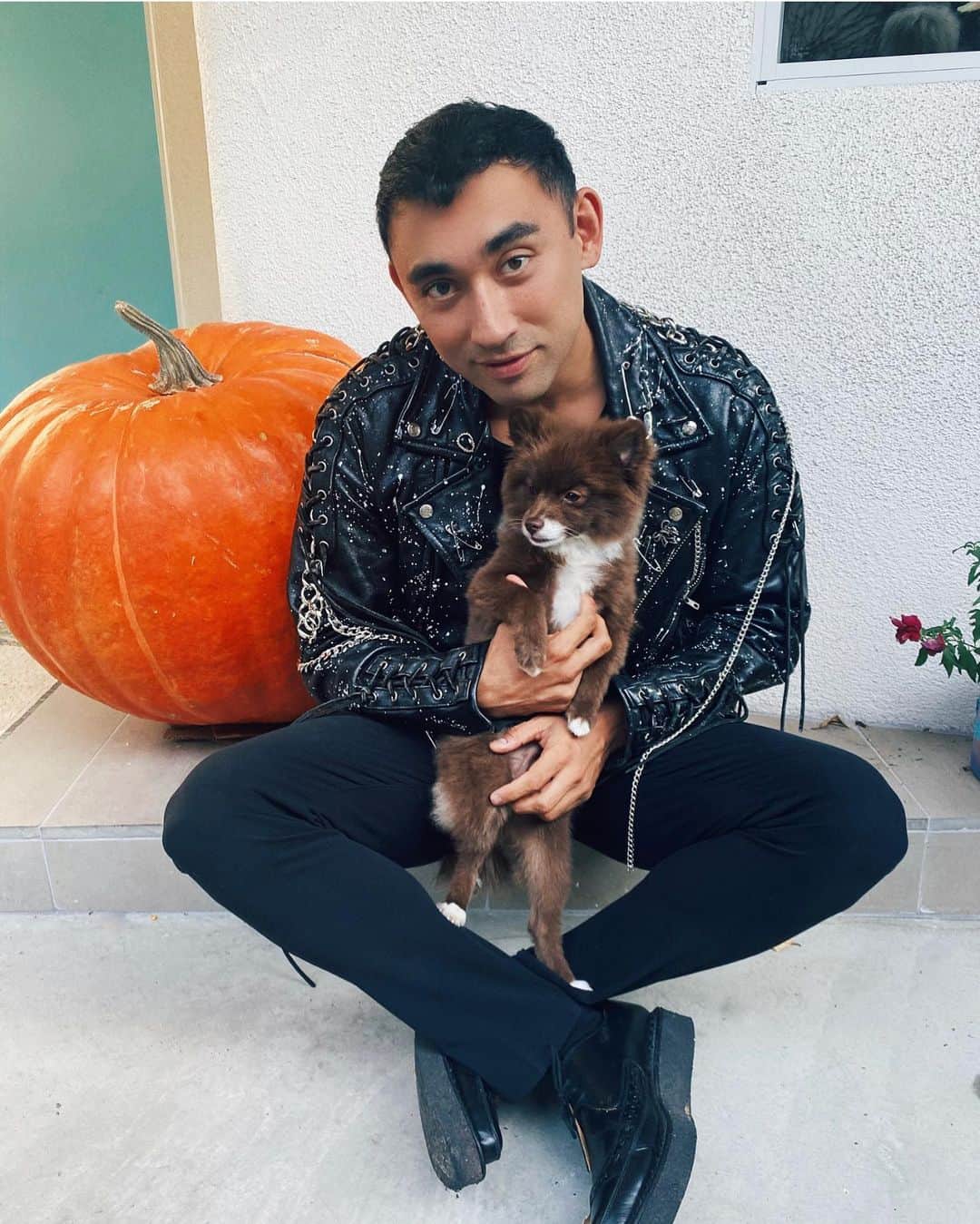 ニコラ・フォルミケッティのインスタグラム：「My pumpkin @oreothepom2020 🎃🐶」