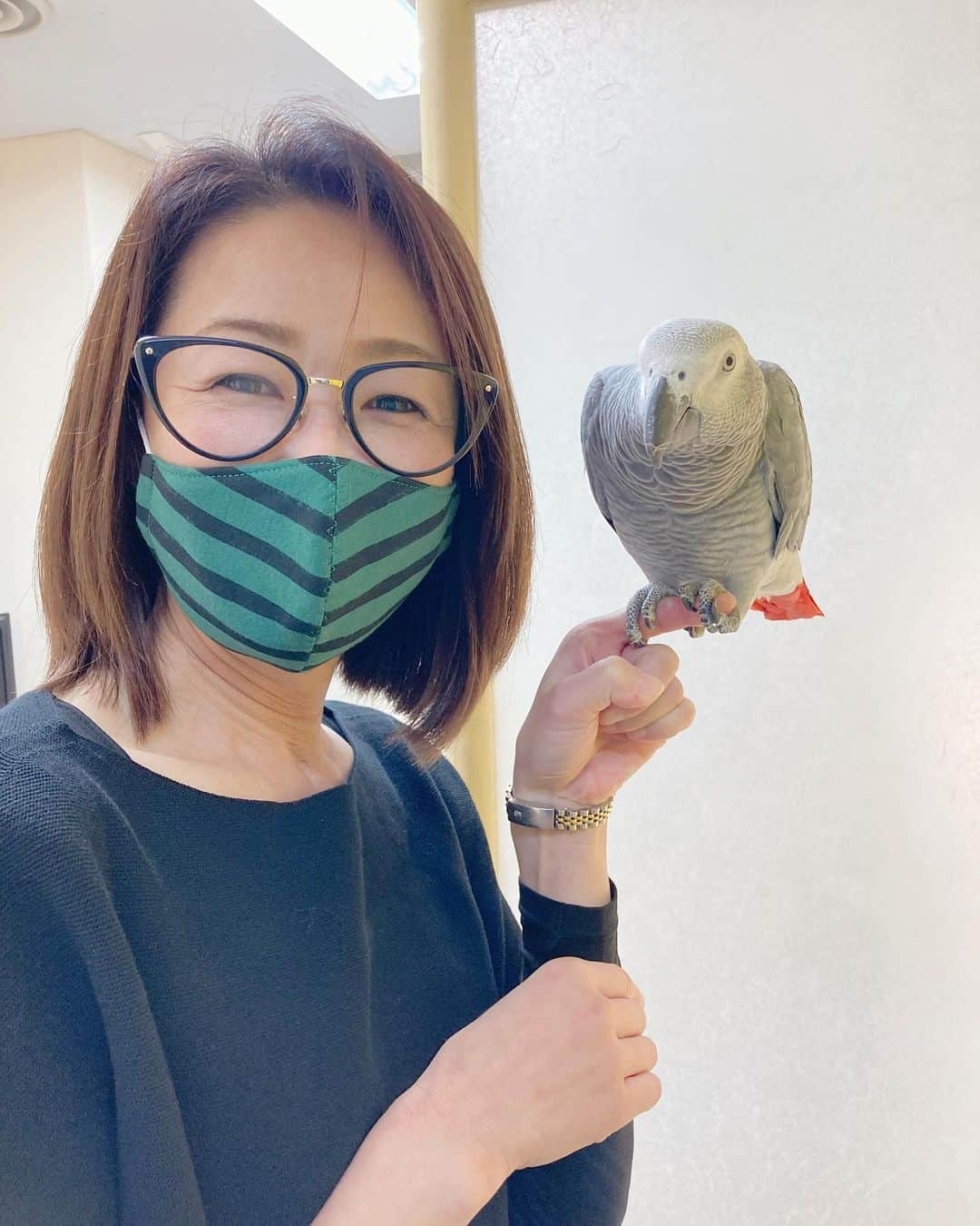 大石まどかさんのインスタグラム写真 - (大石まどかInstagram)「千昌夫さんのインコ🦜の「けんちゃん」可愛い❣️💕お利口さんで人懐っこいのよ〜🥰 #千昌夫 さん #インコ #人懐っこい #お利口さん」10月9日 11時52分 - madoka_oishi