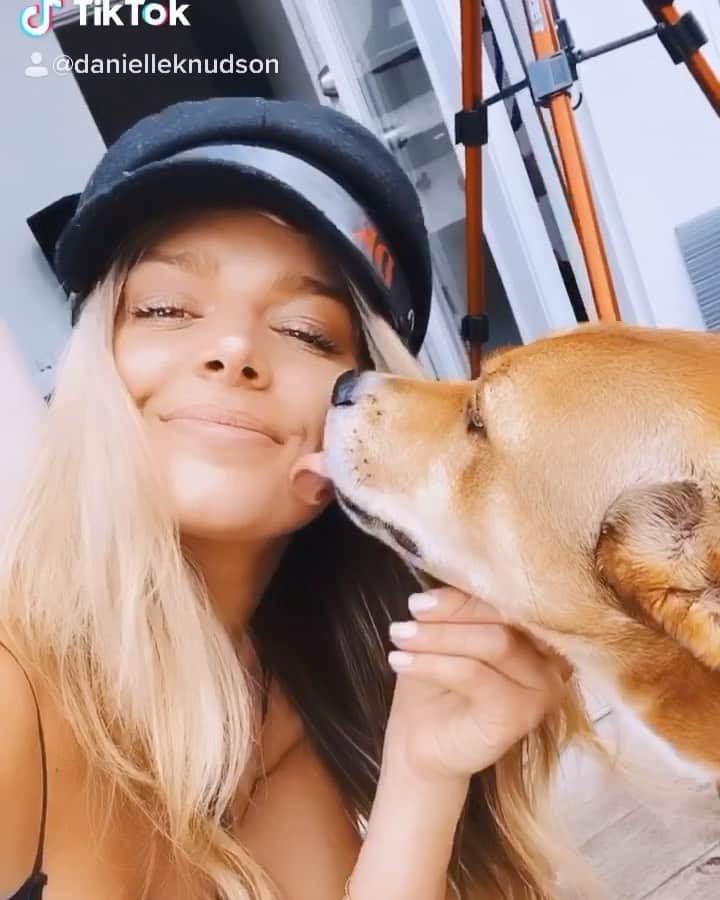 ダニエル・クヌッドソンのインスタグラム：「Dogs make the world a better place 🥰🙏🏼🐾 #adoptdontshop」