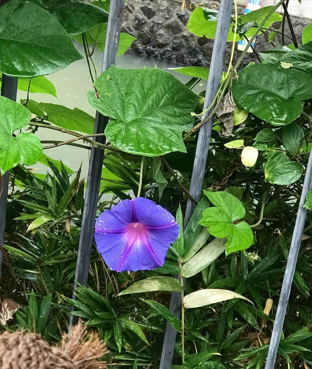 前野えまのインスタグラム