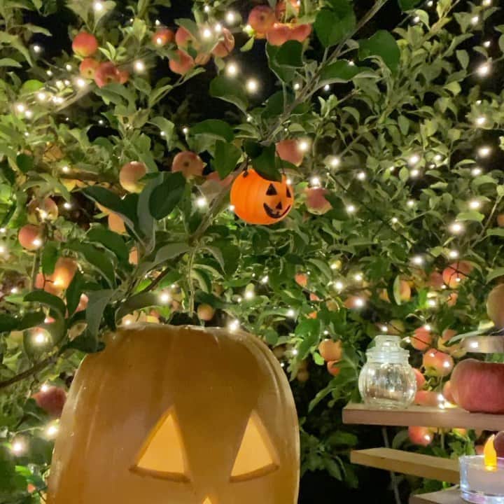 森まさこのグルメインスタ