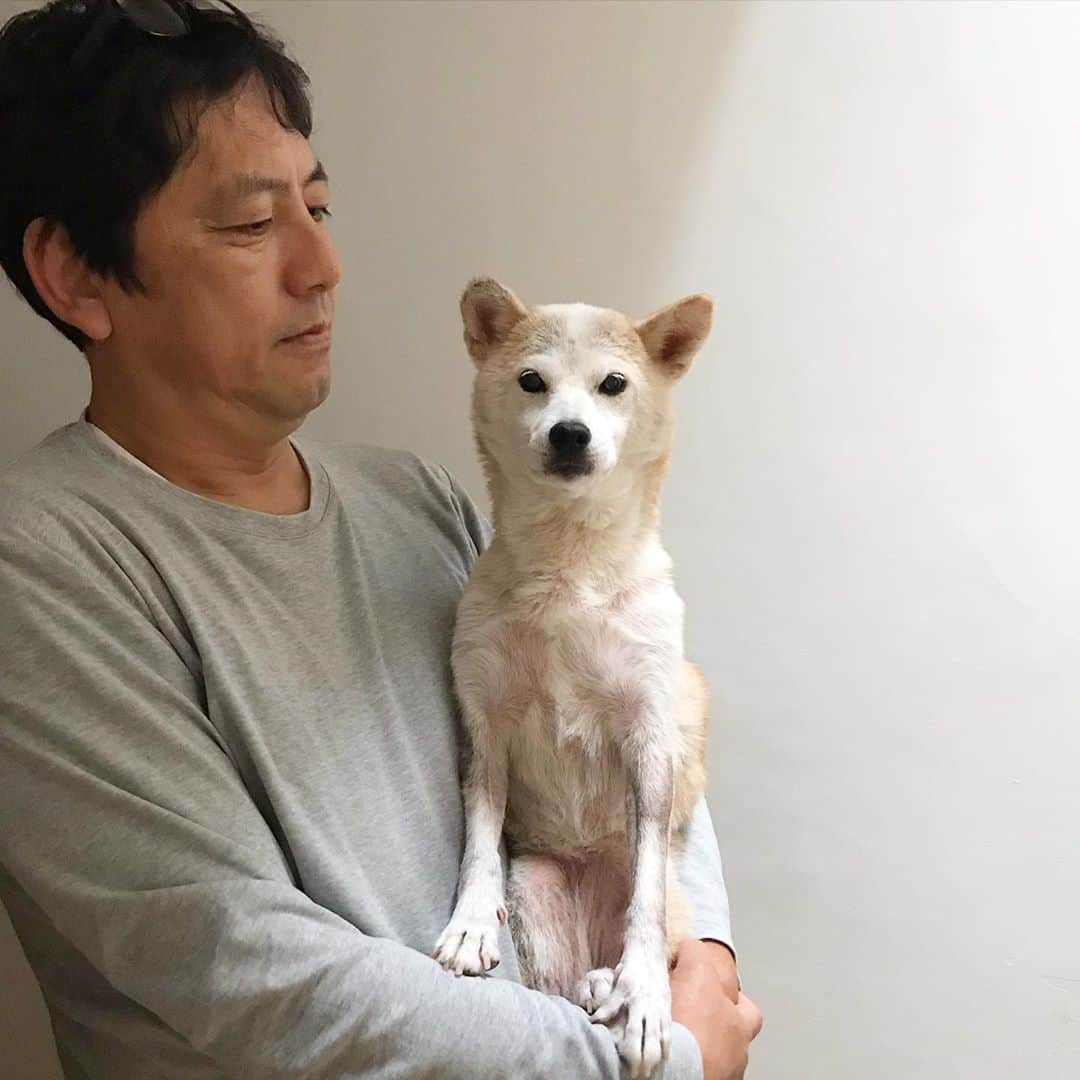 柴犬リリコのインスタグラム：「小雨🌂のタイミングで朝んぽにいってきます🐶（トイレ🚽は完全外派です💦）」