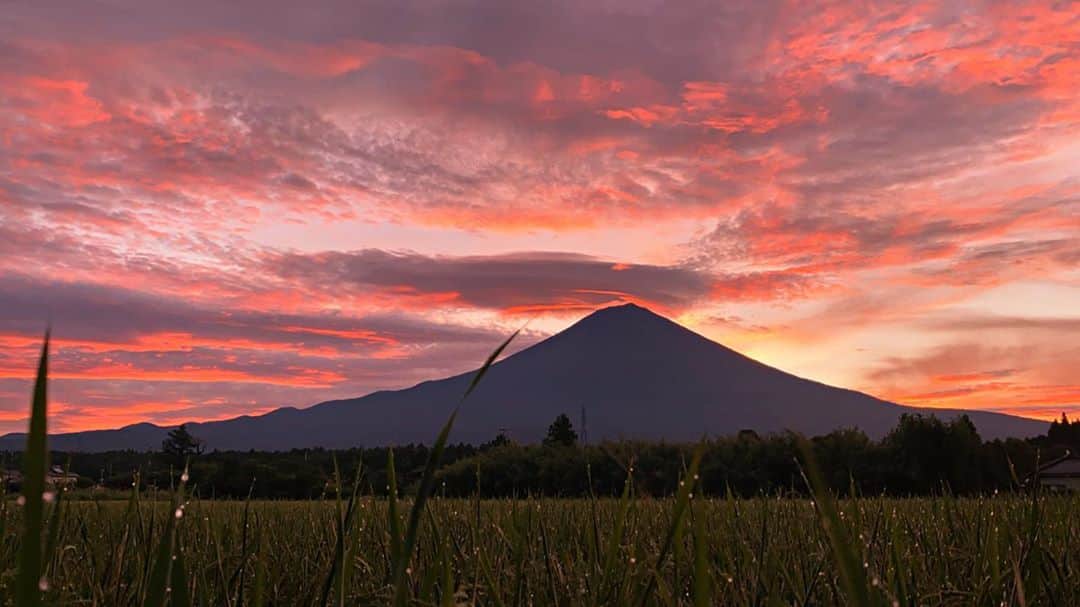 phantastic420のインスタグラム：「. 🤩🤩“Shizuoka” prefecture in Japan is a place where you can see the most “phantastic” Mt. Fuji🗻 in the world.🤩 #富士山 #mtfuji #japan #shizuoka #fujinomiya  #宮すた #miyasta @fujinomiyacity  #phantastic420photography #mostphantasticmtfuji #selamatpagi  #goodmorning  #おはようございます  #สวัสดี #สวัสดีครับ 🇹🇭😇😇😇😇😇😇😇🗻😇😇😇😇4,489km離れた🇹🇭からポストしております🤣 🇹🇭Thailand now 🤣 #サワディーカップ #サワディー」