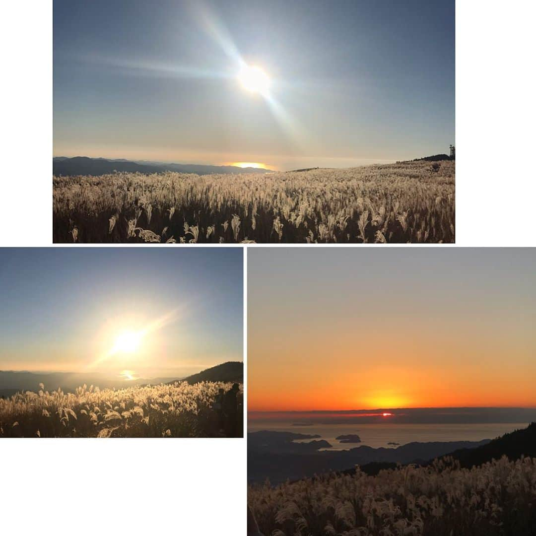 塚田文さんのインスタグラム写真 - (塚田文Instagram)「和歌山県の生石高原(おいし)  紀美野町と有田川町にまたがる標高870㍍の 生石ヶ峰に広がるススキの名所です。 県立自然公園に指定されています。  今が見頃なんですって。  写真は2018年の見頃を過ぎたころ。 また行きたい場所です。  2枚目の動画は耳をすますとどなたかが吹かれているリコーダーの音色が聴こえてきます🥳  帰りは「麺dining月乃家」で和歌山ラーメン🍜 冷えた体を温めました。  最後は和歌山県民行き付けの スーパー〝松源(まつげん)〟  #和歌山県 #生石高原 #ススキの名所 #有田川町 #紀美野町 #和歌山ラーメン #スーパー松源#松源あんぱん #食べたいなぁ  #japan #japantrip #japantravel #wakayama #oishihighland #oishikogen #susukigrass #japanesesilvergrass」10月9日 9時07分 - tsukadaaya1976