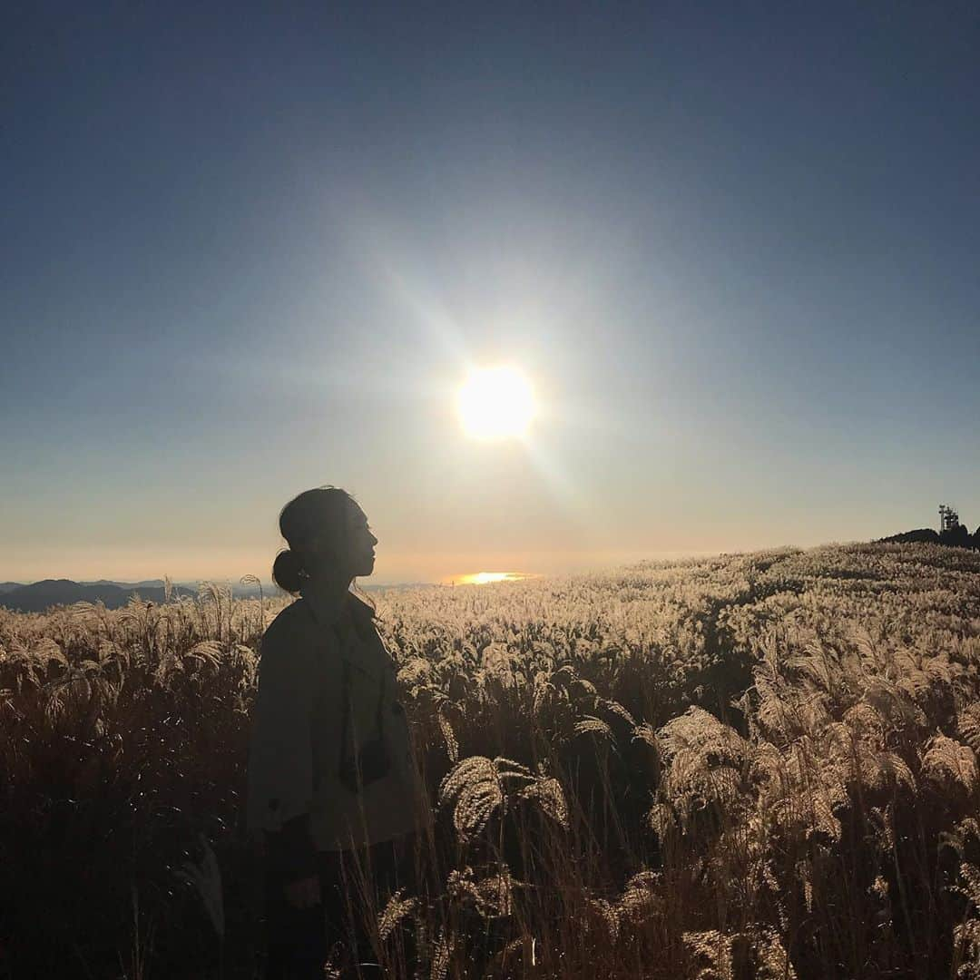 塚田文のインスタグラム：「和歌山県の生石高原(おいし)  紀美野町と有田川町にまたがる標高870㍍の 生石ヶ峰に広がるススキの名所です。 県立自然公園に指定されています。  今が見頃なんですって。  写真は2018年の見頃を過ぎたころ。 また行きたい場所です。  2枚目の動画は耳をすますとどなたかが吹かれているリコーダーの音色が聴こえてきます🥳  帰りは「麺dining月乃家」で和歌山ラーメン🍜 冷えた体を温めました。  最後は和歌山県民行き付けの スーパー〝松源(まつげん)〟  #和歌山県 #生石高原 #ススキの名所 #有田川町 #紀美野町 #和歌山ラーメン #スーパー松源#松源あんぱん #食べたいなぁ  #japan #japantrip #japantravel #wakayama #oishihighland #oishikogen #susukigrass #japanesesilvergrass」