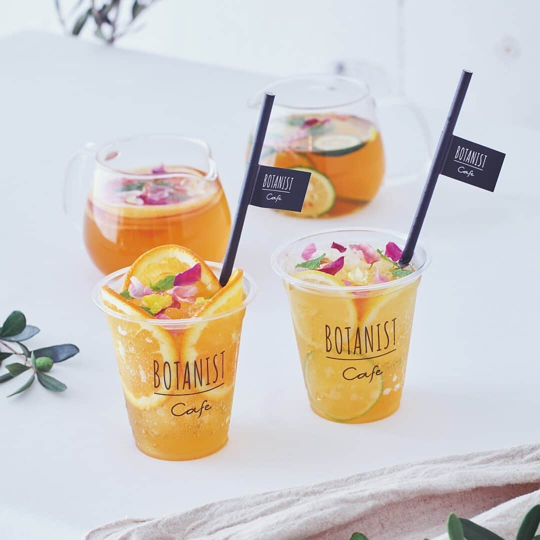 BOTANIST GLOBALのインスタグラム：「【NEW🌿】 BOTANIST Tokyo (@botanist_tokyo) will launch a new limited edition menu at BOTANIST Tokyo on Saturday, September 5th, including customizable #CRAFTTEA and a take-out menu ✨ You can also take home a warming potage and a "floatation drink” served with vegan donuts on top 👌  ⠀⠀⠀  ＜🍽️TO GO MENU🍹＞ ⠀⠀⠀ My BOTANICAL CRAFT TEA (First pic) ✔︎ A combination of 2 rooibos teas and a selection of 5 botanicals to your liking ✔︎A herbal tea slowly boiled from tea leaves with plenty of freshly squeezed botanical juice. ✔︎ Served in a generous teapot for eat-in guests (HOT only) 600 yen (tax included) ⠀⠀⠀ SOY POTAGE SWEET POTATO / SOY POTAGE PUMPKIN (2nd pic) ✔︎ A thick and thick to-go potage. Rich with vegetables. ✔︎ With the bounty of autumn, you will be warmed up on cold days ✔︎ ¥500（tax incl.)※Vegan, buns can be ordered for an additional ¥150 ⠀⠀⠀ VEGAN DONUT (PUMPKIN / MATCHA)｜VEGAN DONUT (Pumpkin / Matcha) (3rd pic) ✔︎ PUMPKIN is a doughnut lavishly kneaded with pumpkin and baked in a hot oven ✔︎ MATCHA is a bittersweet donut made with plenty of Uji green tea ✔︎ 100 yen per piece, 190 yen per piece (tax included) ⠀⠀⠀ Duration: 9/5 (Sat) - 10/30 (Fri).  *If you have any concerns about your health on the day of your visit, please take a moment to review your condition and enjoy our services in the best possible condition.  Stay Simple. Live Simple. #BOTANIST ⠀  🛀@botanist_official 🗼@botanist_tokyo 🇨🇳@botanist_chinese」