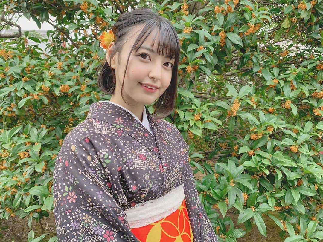 のインスタグラム：「・ ・ 金木犀たくさん♫ ・ ・ #おはよう #金木犀 #金木犀の香り #やっぱびびっときてるよ #浅草 #浅草観光スポット #浅草映えスポット #着物 #着物コーディネート #秋 #香り #gm #morning #autumn #asakusa #kimono #tokyo #japan #followme #model #code #instagramjapan」