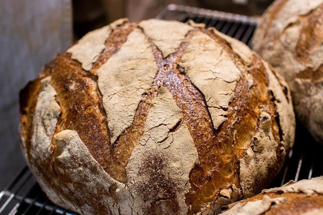 笹塚駅のパン屋さん オパンのグルメインスタ