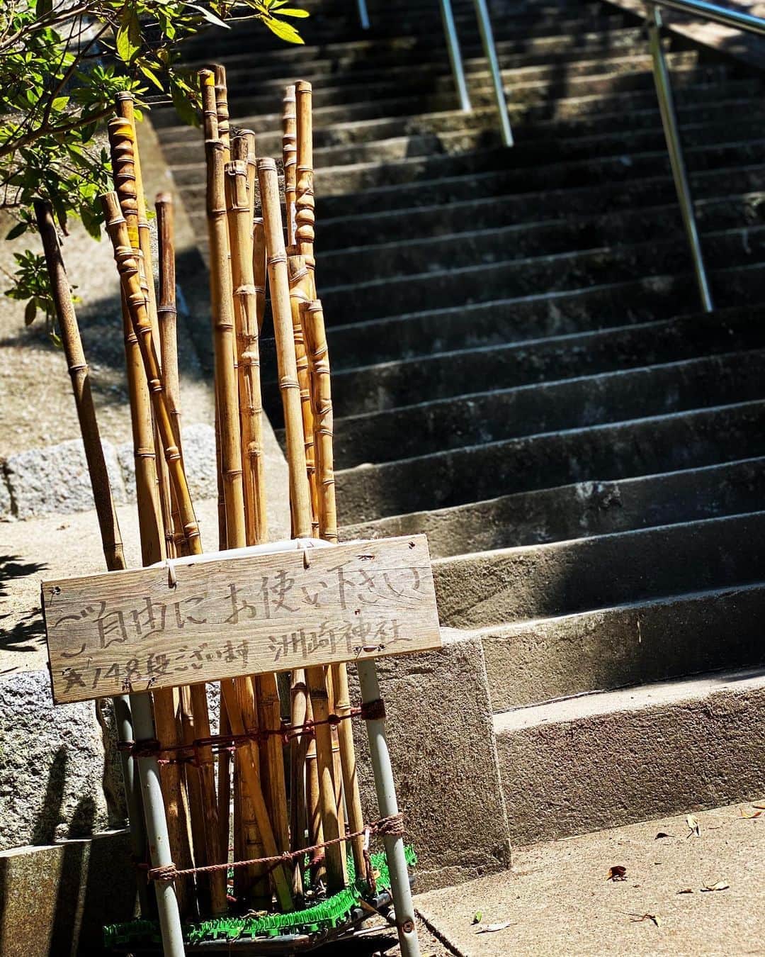 SHOCK EYEさんのインスタグラム写真 - (SHOCK EYEInstagram)「長い階段、急な坂道を見上げた時、 わぁ、、キツイな、なんて思うことは無くて、頑張って登ればこの先に見たことのない景色が広がってるんだろうなぁ、、 って、ワクワクと楽しみしかない。 人生と一緒😌  #洲崎神社 #急階段 #人生 #神社 #教え #shrine」10月9日 10時28分 - shockeye_official