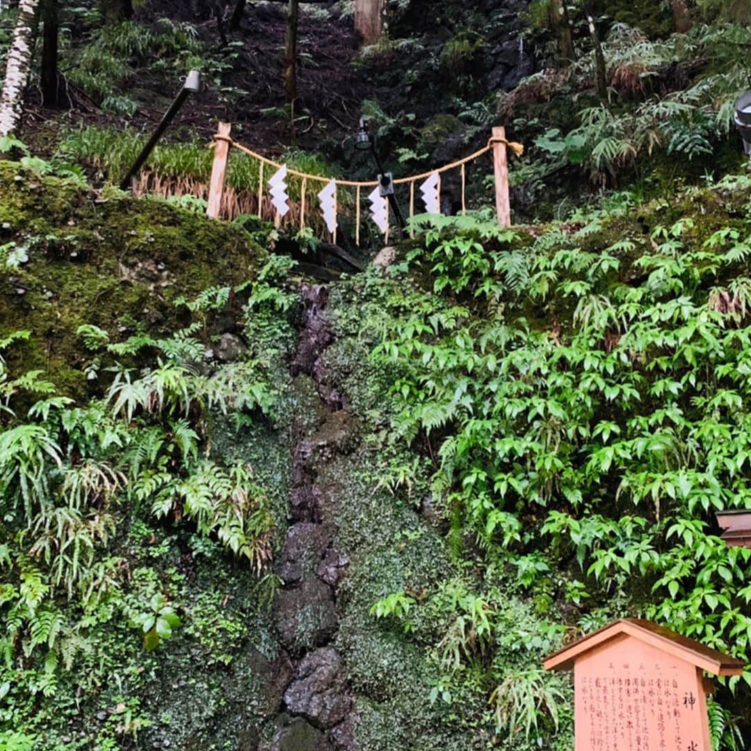 佐伯三貴さんのインスタグラム写真 - (佐伯三貴Instagram)「旅の思い出❤️お寺編  清水寺、晴明神社、白峯神宮、鈴蟲寺、貴船神社、鞍馬寺へ行きました🥰  雨だったけど身体も心も洗われているかのように感じる素敵な場所ばかりでした😊  清水寺は普段は入れないところまで案内してくださり本当に感謝です🥺  #最高の一人旅 #京都おいでやす #舞妓はんになりたい #寺巡り」10月9日 10時35分 - threeprecious