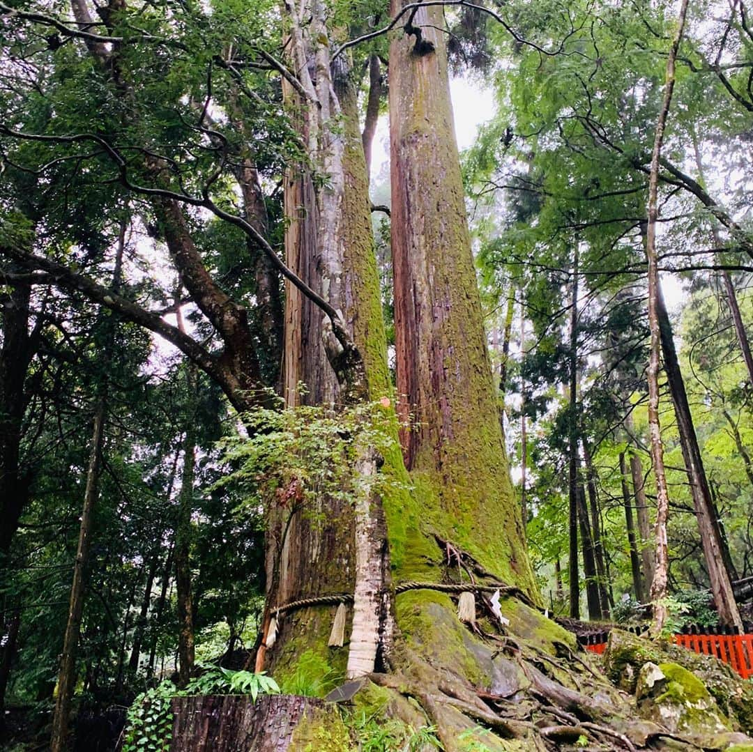 佐伯三貴さんのインスタグラム写真 - (佐伯三貴Instagram)「旅の思い出❤️お寺編  清水寺、晴明神社、白峯神宮、鈴蟲寺、貴船神社、鞍馬寺へ行きました🥰  雨だったけど身体も心も洗われているかのように感じる素敵な場所ばかりでした😊  清水寺は普段は入れないところまで案内してくださり本当に感謝です🥺  #最高の一人旅 #京都おいでやす #舞妓はんになりたい #寺巡り」10月9日 10時35分 - threeprecious