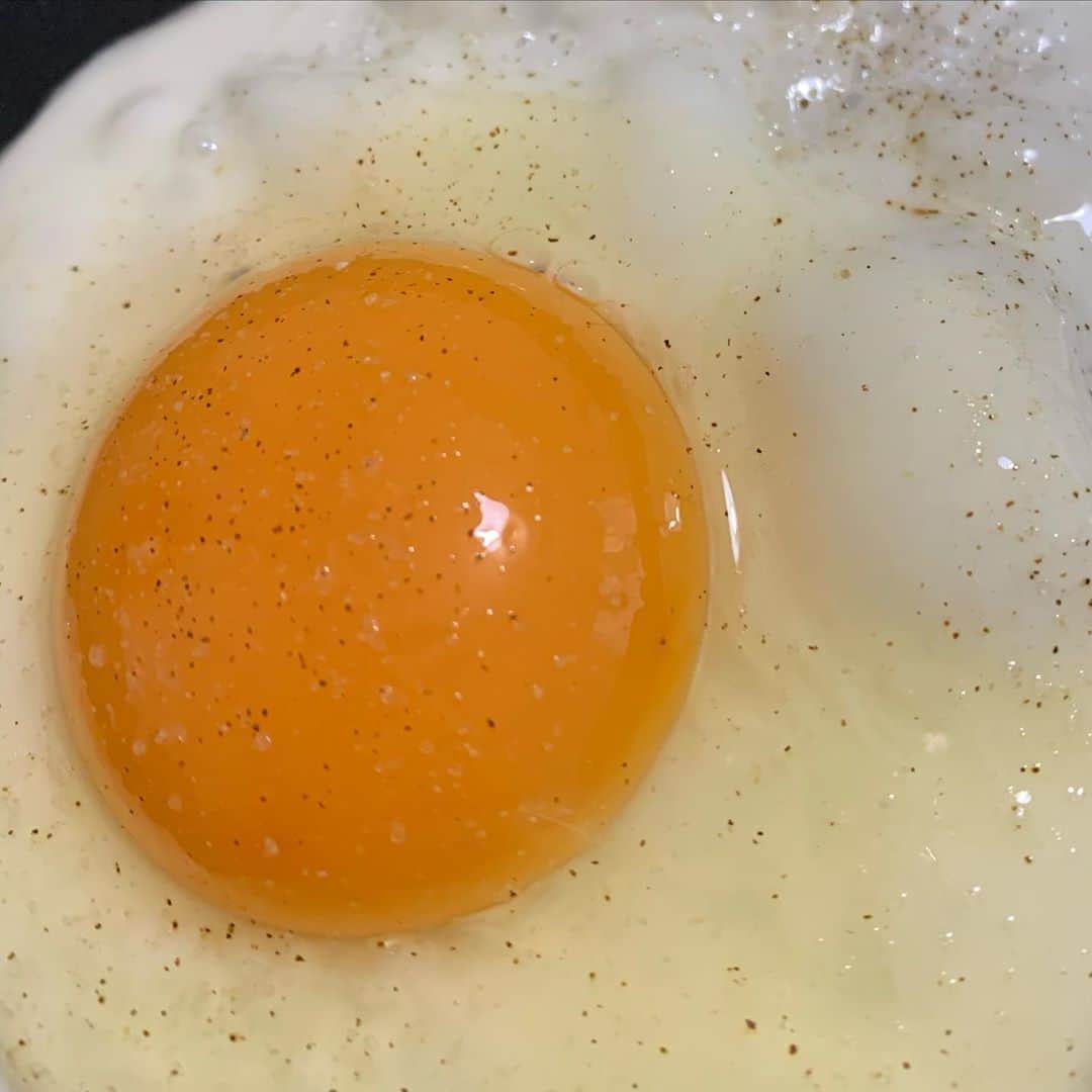 浜平恭子さんのインスタグラム写真 - (浜平恭子Instagram)「卵って本当に美味しいよね(๑′ᴗ‵๑)  #急になに #朝 #いただきながら #しみじみ #思ったのでした」10月9日 10時48分 - hamahi1231