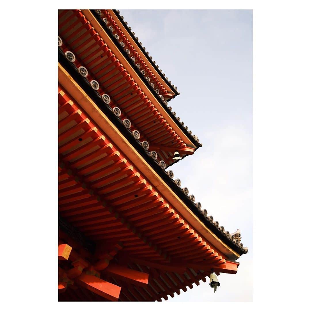 有働真帆さんのインスタグラム写真 - (有働真帆Instagram)「In Japan spending time with my family😊☺️🇯🇵⛩ @mahopics 📷 #fujifilm #x100v」10月9日 10時56分 - maho_udo