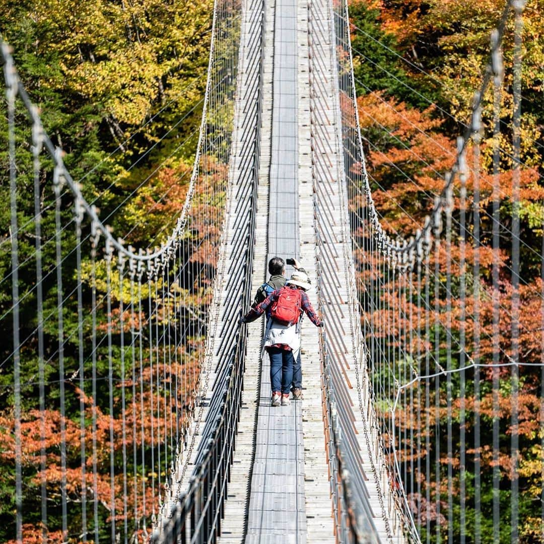 静岡市地域おこし協力隊 のインスタグラム