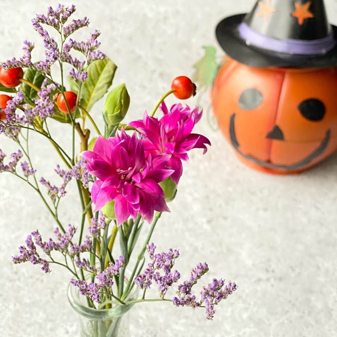 舞子さんのインスタグラム写真 - (舞子Instagram)「今週も届きました♡﻿ ﻿ お花の定期便 @bloomeelife  ﻿ 今回のラインナップは﻿ #スプレーカーネーション﻿ #ローズヒップ﻿ #ハイブリッドスターチス﻿ ﻿ 赤い実があると一気に秋っぽくなって可愛いよね(*´艸`*)﻿ ﻿ 秋っぽいもの秋っぽいもの…と探して、﻿ 唯一我が家にあったハロウィンのカボチャと撮ってみました（笑）﻿ ﻿ お菓子入ってたのもらったの🎃﻿ ﻿ 娘たちが楽しみにしてるハロウィン。﻿ ﻿ 今年は特に何も予定ないんやけど（笑）﻿ ﻿ 何しよかなぁ？﻿ ﻿ みんなはハロウィン何かする⁇﻿ ﻿ ======﻿ 初回のお花お届けが無料になるクーポン🌼﻿ ■クーポンコード：maiko03﻿ ■有効期限：2020年10月31日﻿ ======﻿ ﻿ #bloomeelife #ブルーミーライフ #お花の定期便 #プチブーケ #サブスク #花のある生活 #花好きな人と繋がりたい #おうち時間 #花部 #花写真 #花が好き #花を飾る #暮らしを楽しむ #日々の暮らし #丁寧な暮らし #お花のある暮らし #素敵な休日 #暮らしを整える #くらしのきほん #日々の暮らしを楽しむ #丁寧に暮らす #おうち時間 #インテリアフラワー #豊かな暮らし#花サブスク#おうちカフェ #ハロウィン」10月9日 11時29分 - maiko.03010