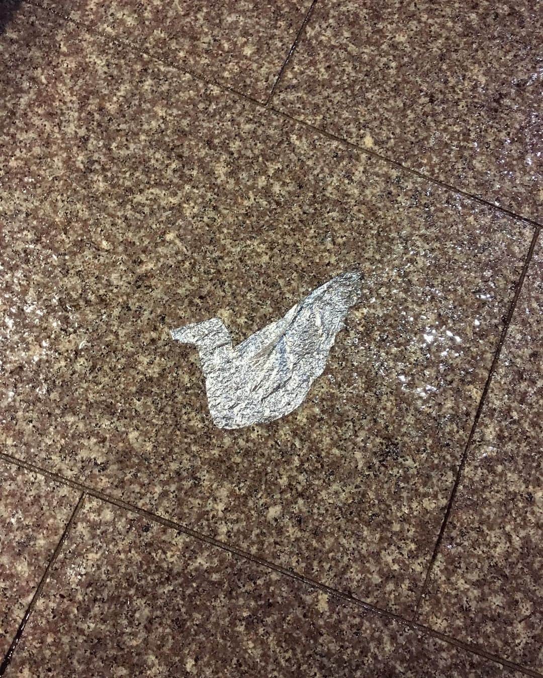 のインスタグラム：「🕊✨」