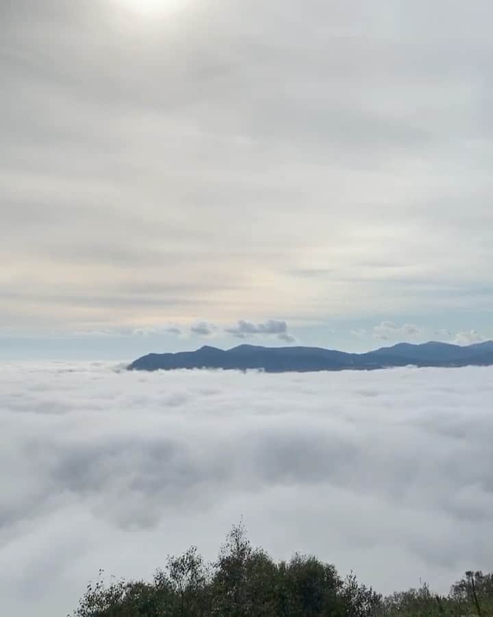 正中雅子のグルメインスタ