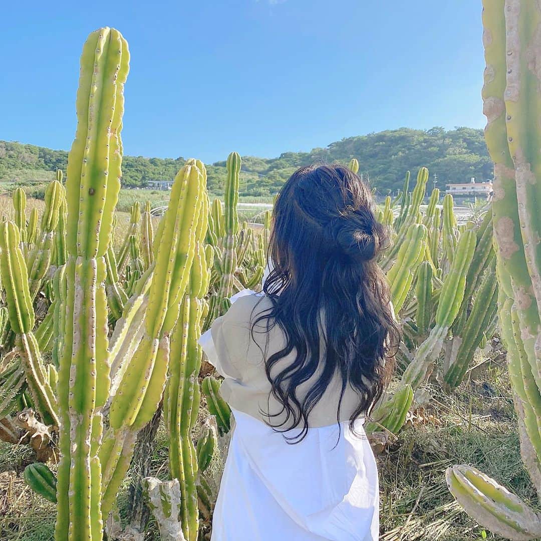 のインスタグラム：「ㅤㅤㅤㅤㅤㅤㅤㅤㅤㅤㅤㅤㅤ ㅤㅤㅤㅤㅤㅤㅤㅤㅤㅤㅤㅤㅤ ㅤㅤㅤㅤㅤㅤㅤㅤㅤㅤㅤㅤㅤ 少しカフェはお休みを頂き、母と沖縄へ🏝❤︎ ㅤㅤㅤㅤㅤㅤㅤㅤㅤㅤㅤㅤㅤ 向こうで少し仕事もあったけどSNSから離れて ゆっくりとした時間をすごしました🥺💕 (インスタ投稿頑張るって言ったのにごめんなさい😢) ㅤㅤㅤㅤㅤㅤㅤㅤㅤㅤㅤㅤㅤ . ㅤㅤㅤㅤㅤㅤㅤㅤㅤㅤㅤㅤㅤ コーデは上下 @zara で1日目は過ごしましたが 台風🌪が近づいていて風がすごかったので 日差しはあつかったですがちょうど良かったです☺️ ㅤㅤㅤㅤㅤㅤㅤㅤㅤㅤㅤㅤㅤ . ㅤㅤㅤㅤㅤㅤㅤㅤㅤㅤㅤㅤㅤ #サボテン畑 🌵は人生で初めてでしたが すごい素敵な場所でした☺️！ ㅤㅤㅤㅤㅤㅤㅤㅤㅤㅤㅤㅤㅤ . ㅤㅤㅤㅤㅤㅤㅤㅤㅤㅤㅤㅤㅤ  📍 沖縄県南城市玉城船越161 🚘 那覇空港からは車で約30分 ㅤㅤㅤㅤㅤㅤㅤㅤㅤㅤㅤㅤㅤ ㅤㅤㅤㅤㅤㅤㅤㅤㅤㅤㅤㅤㅤ ※一般の方の所有する畑で手前は撮影OKとの事でしたが 奥まではいけないみたいです！ ㅤㅤㅤㅤㅤㅤㅤㅤㅤㅤㅤㅤㅤ . ㅤㅤㅤㅤㅤㅤㅤㅤㅤㅤㅤㅤㅤ 沖縄のフォロワーさんも沖縄の方も みんなあたたかくて、さらに大好きになりました😢💕 ㅤㅤㅤㅤㅤㅤㅤㅤㅤㅤㅤㅤㅤ  ㅤㅤㅤㅤㅤㅤㅤㅤㅤㅤㅤㅤㅤ #南城市 ㅤㅤㅤㅤㅤㅤㅤㅤㅤㅤㅤㅤㅤ」