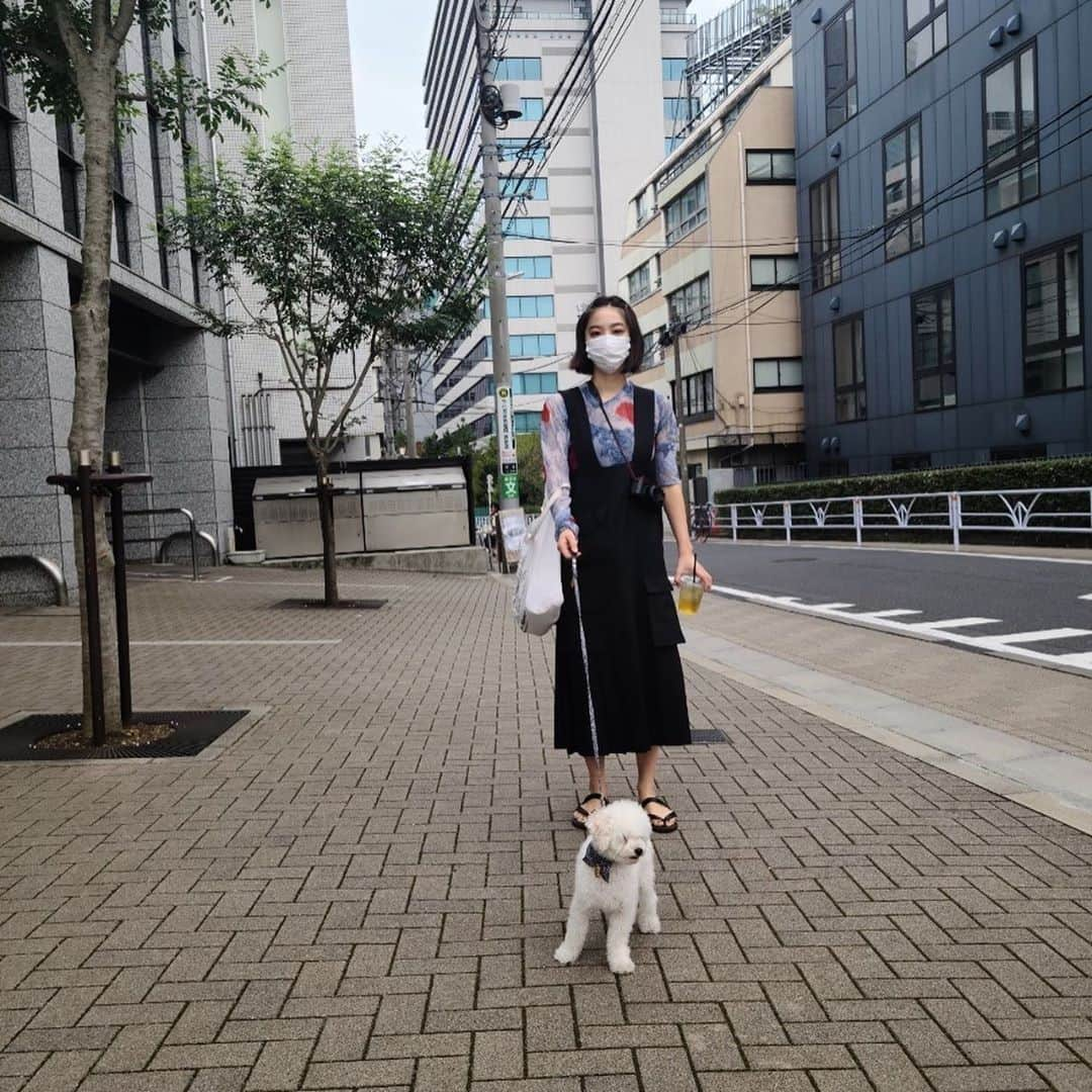 坂東希さんのインスタグラム写真 - (坂東希Instagram)「雨続きはへこみますなぁ 晴れた日にねこさんぽ お友達の付き添いつき🐶」10月9日 22時18分 - nozomibando_official