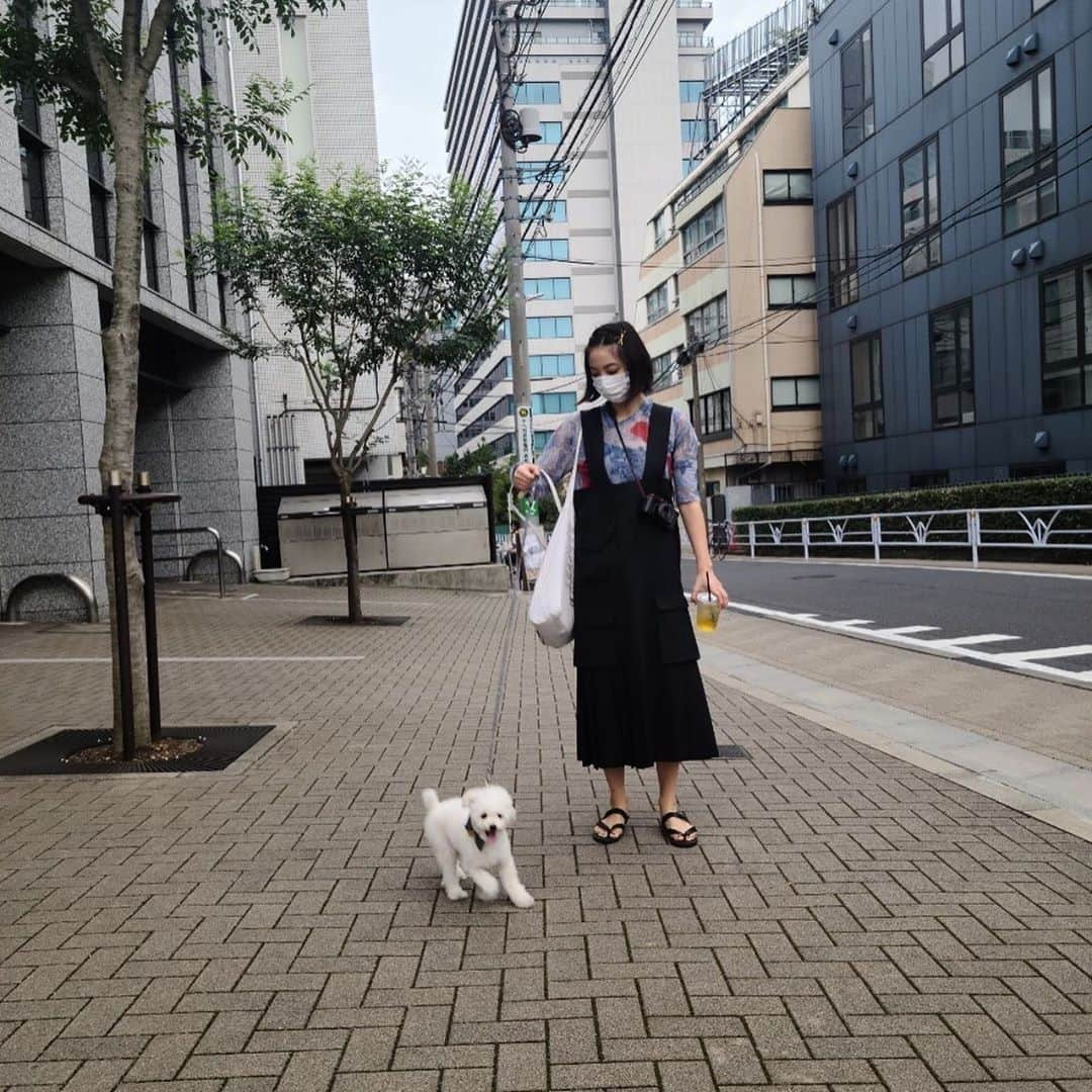 坂東希さんのインスタグラム写真 - (坂東希Instagram)「雨続きはへこみますなぁ 晴れた日にねこさんぽ お友達の付き添いつき🐶」10月9日 22時18分 - nozomibando_official