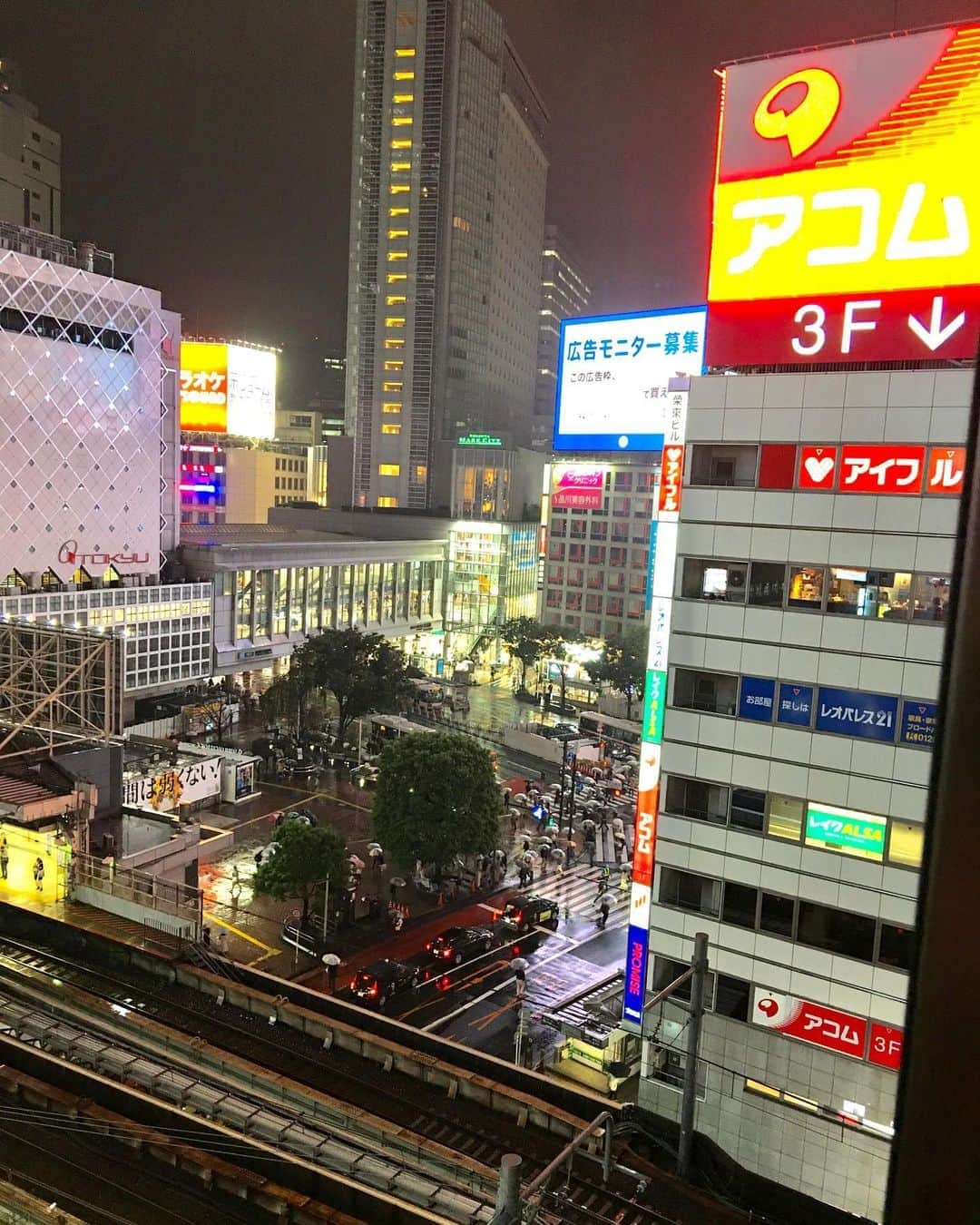 GO!皆川さんのインスタグラム写真 - (GO!皆川Instagram)「我が茨城には無い風景。」10月9日 14時27分 - go_minagawa