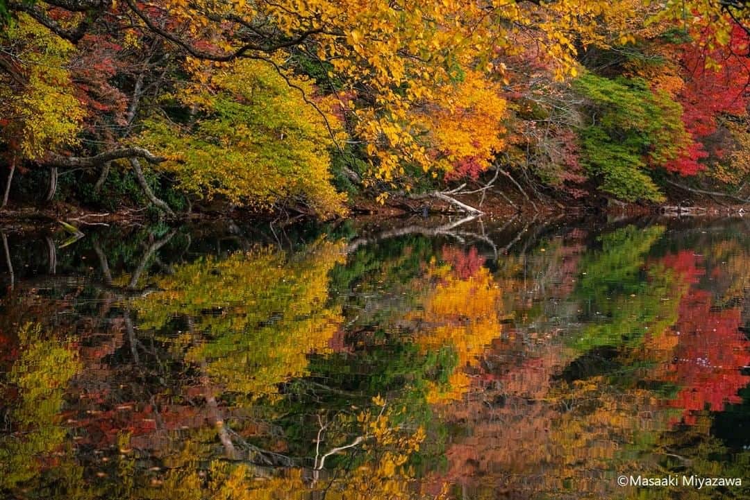 TOBU RAILWAY（東武鉄道）のインスタグラム