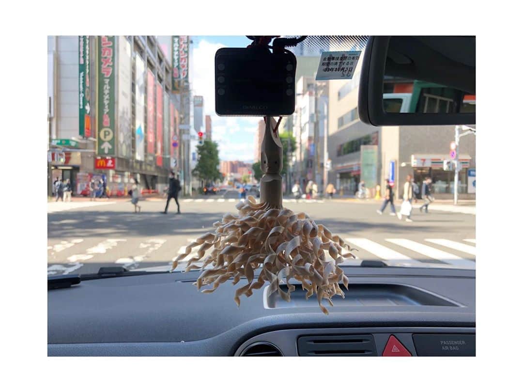 井山三希子さんのインスタグラム写真 - (井山三希子Instagram)「札幌に着いた感が満載の車」10月9日 15時33分 - nikoyagi