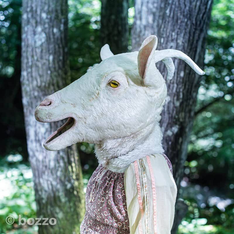 手紙社さんのインスタグラム写真 - (手紙社Instagram)「【独創的なパフォーマンスで夢と現実の狭間にご招待！】﻿ 山羊の被り物に身を包み“動物人形”づくりを行う「山羊のメリーさん」。メリーさんがつくる人形は、カンガルーのようにお腹に袋をもつネコや、馬ではなくブタのメリーゴーランドなど、夢と現実を行き交うような幻想的な雰囲気が漂います。いつもは2時間ほどかけて作品を完成させるパフォーマンスを、今回初出店となるもみじ市ではギュッと40分に詰め込んだ特別バージョンで披露！　メリーさんWORLDに入り込んで、ちょっとだけ日常から離れてみませんか？﻿ ﻿ ▶︎「山羊のメリーさん」さんのオンラインミーティングは「10/17（土）15:00〜」から！﻿ ﻿ ▶︎「山羊のメリーさん」さんの販売期間は「10/17（土）16:00〜10/24（土）16:00」﻿ ﻿ ▶︎各ショップのプレビューページはプロフィール「@momijiichi_staff」のリンクより公式サイトへ！　出店者一覧ページより、各出店者のアイコンの下に表示されているボタンからアクセス！﻿ ﻿ ＜「新しいオンラインフェスティバル・もみじ市」開催概要＞﻿ 出店者によるオンラインミーティング開催期間：2020年10月12日（月）〜18日（日）﻿ オンラインショップ開設期間：2020年10月12日（月）〜24日（土）﻿ ※出店者によって開設期間が異なります﻿ 会場：もみじ市公式サイト﻿ ﻿ ◎「新しいオンラインフェスティバル・もみじ市」は3本立て！﻿ 1. オンラインミーティング（番組）﻿ すべての出店者がアトリエツアーや作品紹介等の番組を配信。﻿ 2. オンラインショッピング﻿ 出店者による新作や、ここでしか買えない限定作品、もちろん、定番商品も購入することができます！﻿ 3. スペシャルライブ番組﻿ ミーティング最終日に、5組のアーティストが次々に登場する音楽番組を特別開催します。﻿ ﻿ #手紙社#手紙舎#tegamisha#もみじ市#momijiichi#zoom#zoom講座#オンライン講座#オンラインイベント#オンライン#オンライン配信#オンライン開催#新しいオンラインフェスティバル#SWING#山羊のメリーさん#人形#entertainment」10月9日 16時02分 - tegamisha
