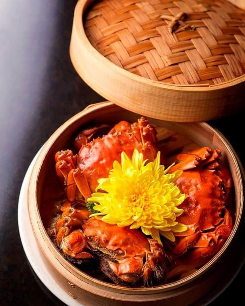ホテルニューオータニ博多さんのインスタグラム写真 - (ホテルニューオータニ博多Instagram)「. .【季節の味覚 上海蟹🦀】. .   中国料理の秋の名物「上海蟹」の季節がやってきました😋. . 芳醇な旨味をもつ上海蟹を存分に味わえるコース料理をご用意しました。  究極の美味、至福の沈黙と比喩される上海蟹をお楽しみください🥰. . . ■上海蟹コース ・秋の前菜盛り合わせ ・上海蟹入りふかひれスープ ・上海蟹と帆立の炒め ・北京ダック ・上海蟹入り小籠包 ・活上海蟹の姿蒸し ・上海蟹のあんかけ焼きそば ・デザート  料金：1名さま￥13,000　 ※税金・サービス料別。 期間：～11月下旬まで（予定）  #中国料理 #上海蟹 #秋の味覚 #蟹#蟹づくし #大観苑 #福岡ホテル #ディナー #ホテルディナー #ホテルグルメ #福岡ホテル #ホテルニューオータニ博多」10月9日 16時04分 - newotani_hakata_official