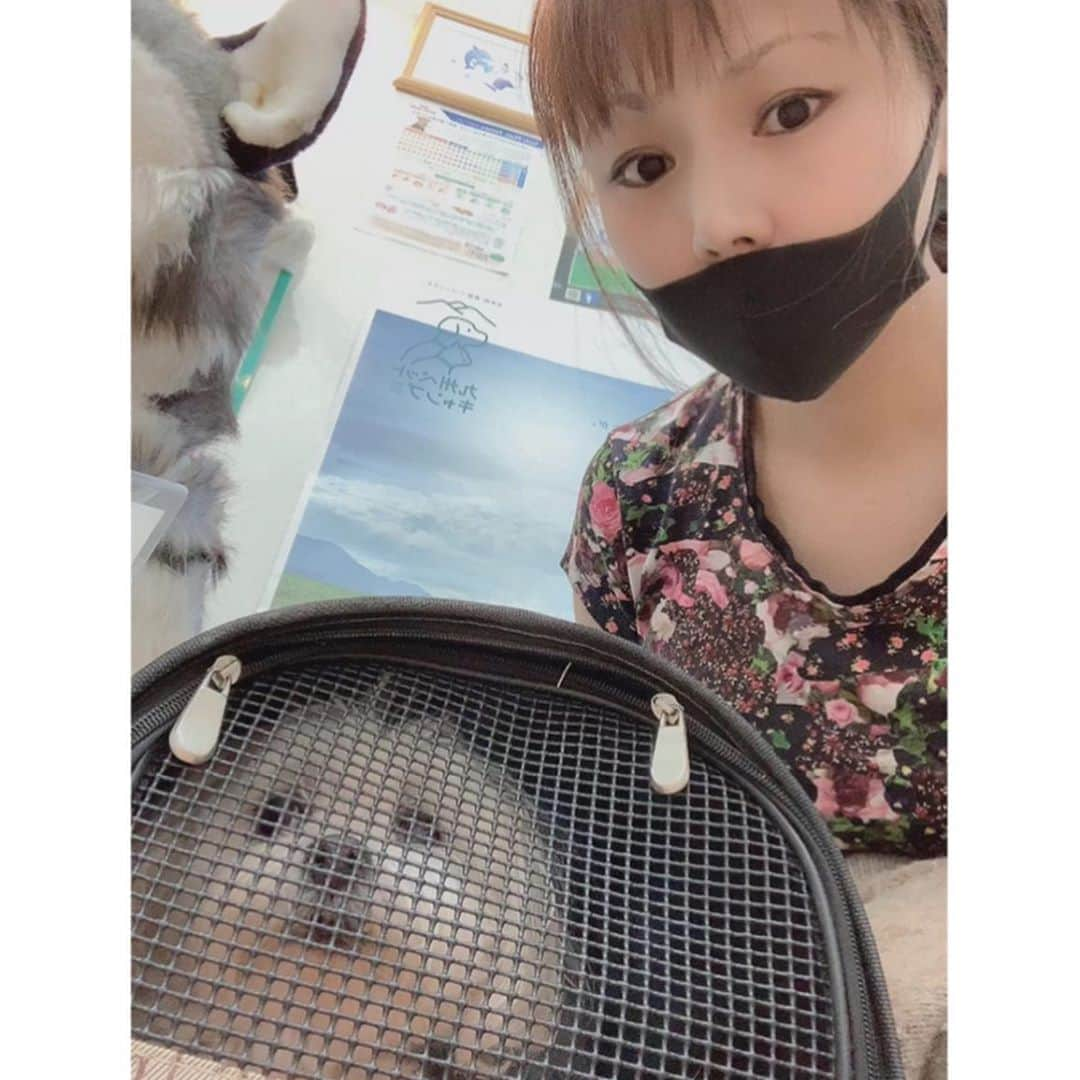 本田裕子のインスタグラム